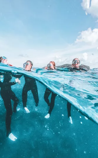 Great Barrier Reef Explorer: Snorkel to Adventure Trip