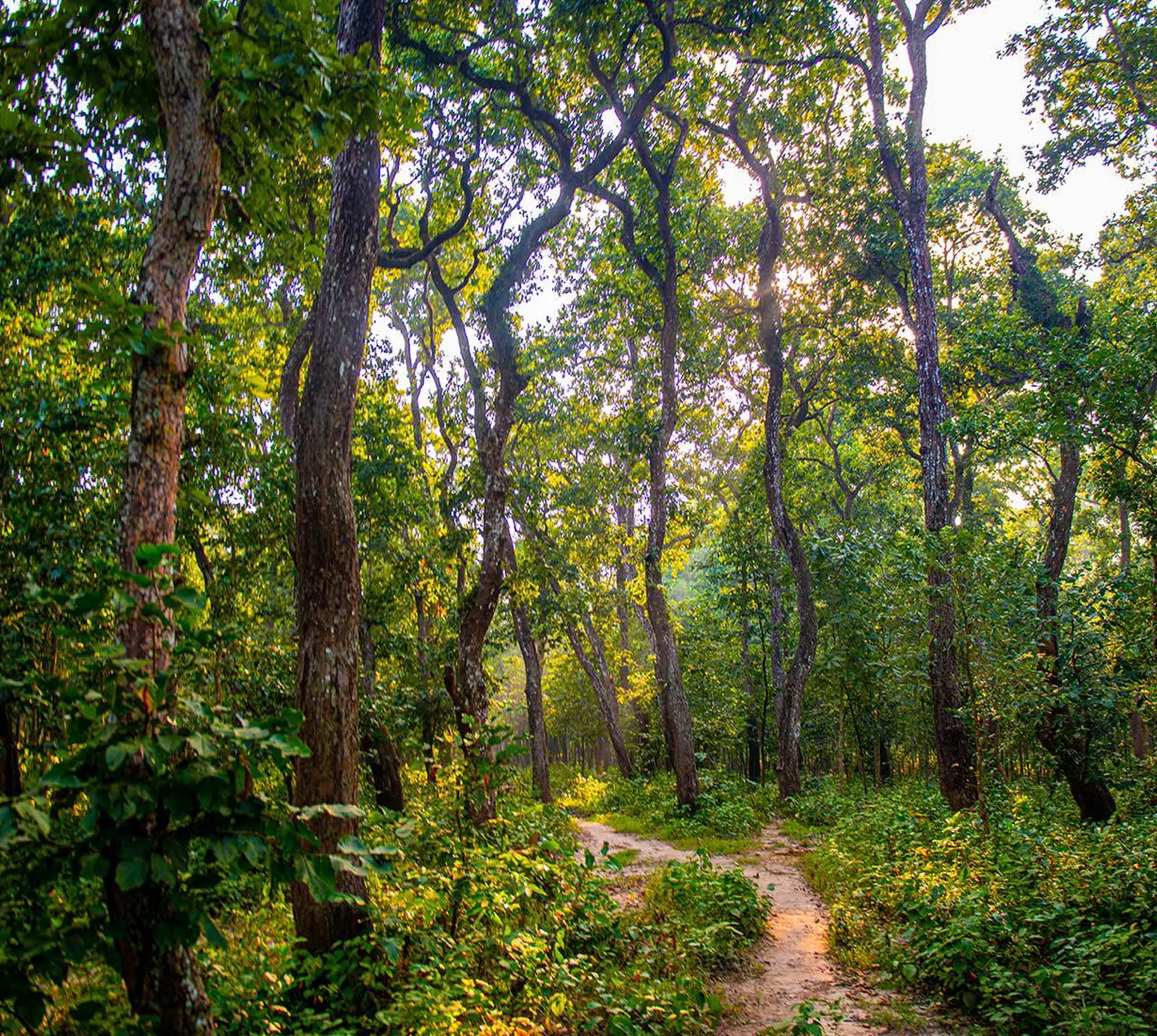 Kathmandu and Chitwan National Park Trip