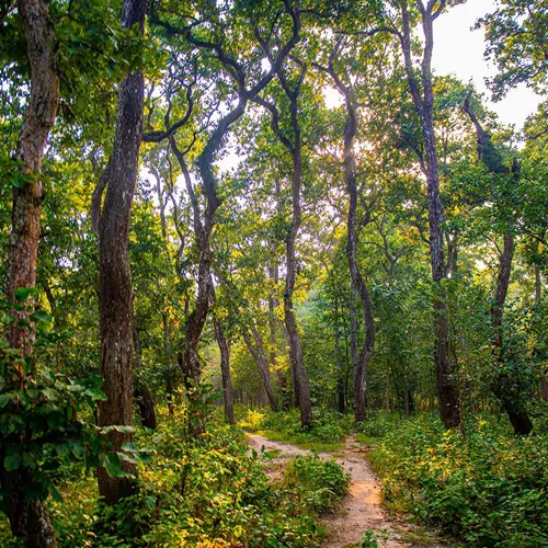 Kathmandu and Chitwan National Park Trip