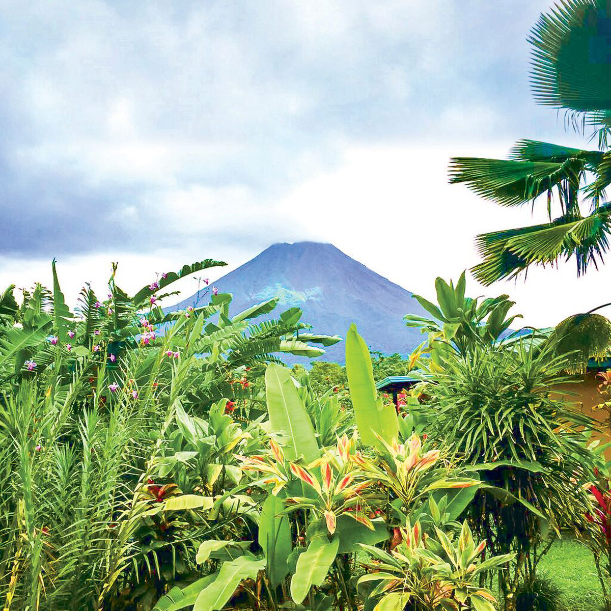 Willwks Arenal Volcano Costa Rica