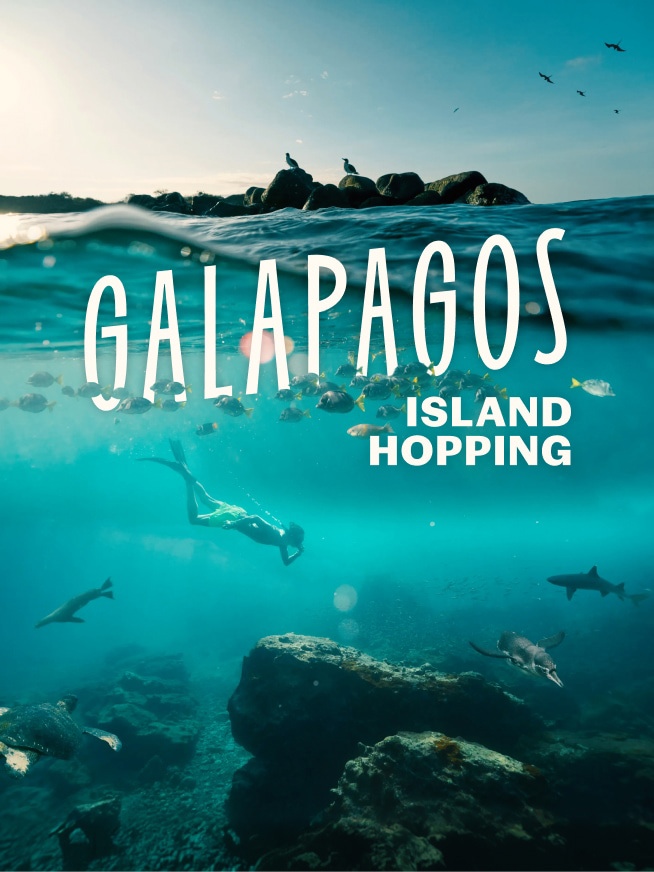 Galapagos Island Hopping Tour