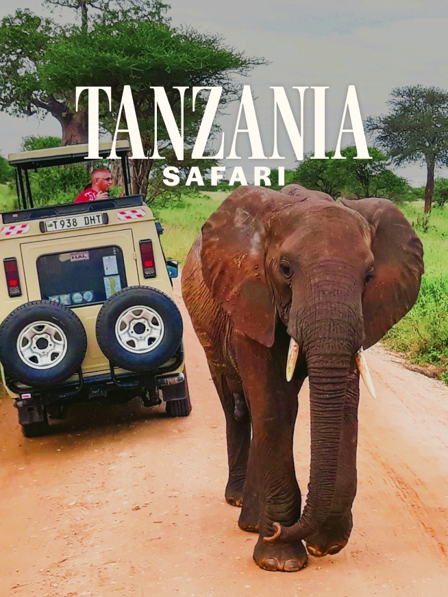Tanzania Safari Tour