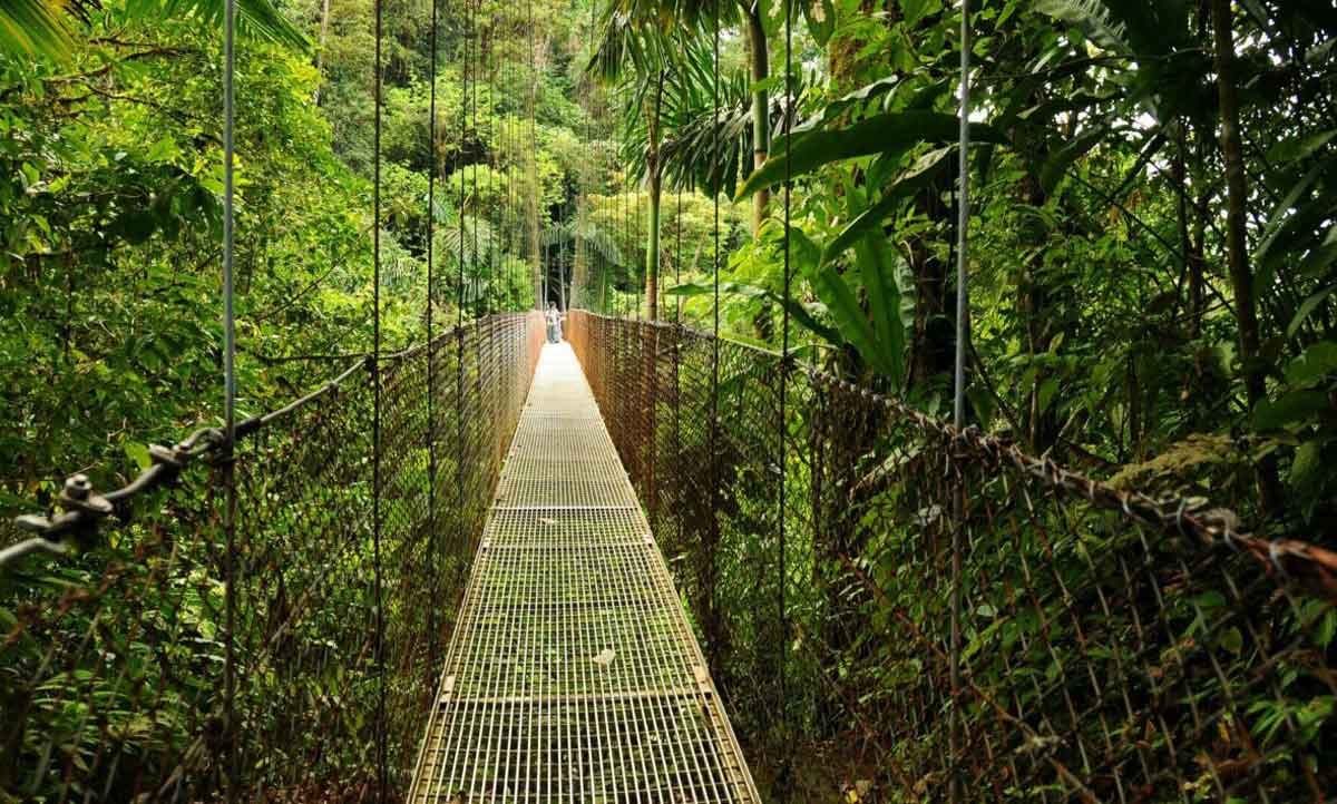 Large Hanging Bridges Costa Rica