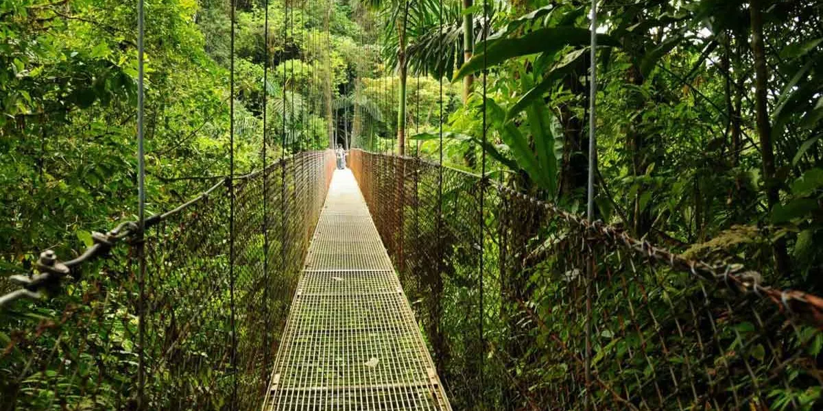 Large Hanging Bridges Costa Rica