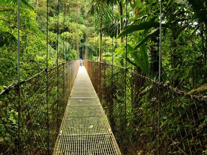 Large Hanging Bridges Costa Rica