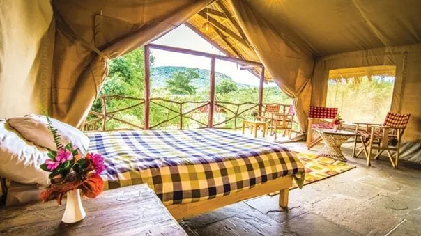 Inside a yurt in the forest