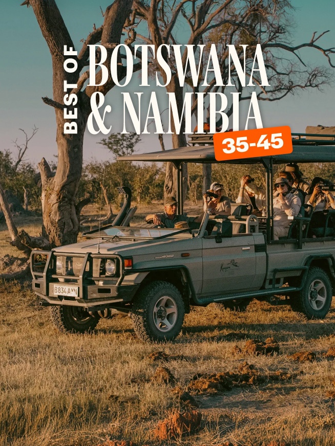 Best of Botswana & Namibia 35 to 45 Tour