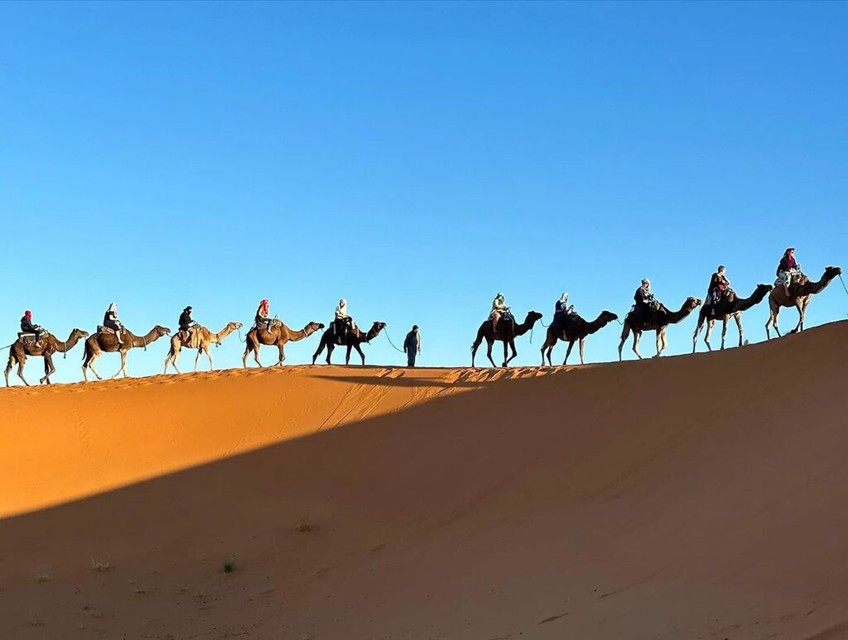 Riding Camels Through Desert