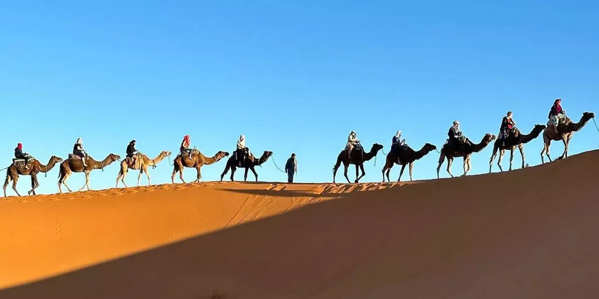 Riding Camels Through Desert