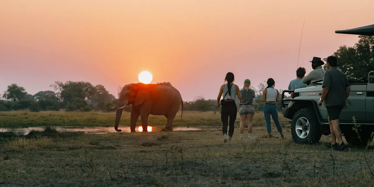 Victoria Falls and Botswana