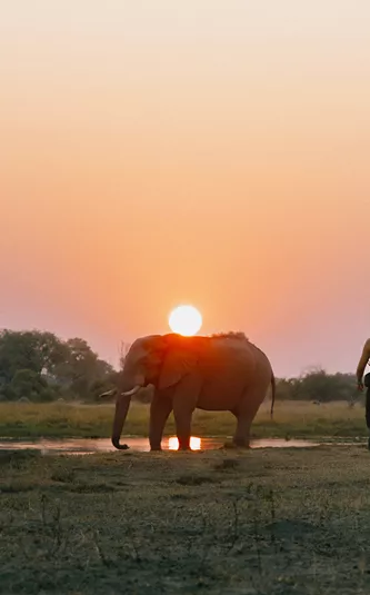 Victoria Falls and Botswana