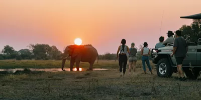 Victoria Falls and Botswana