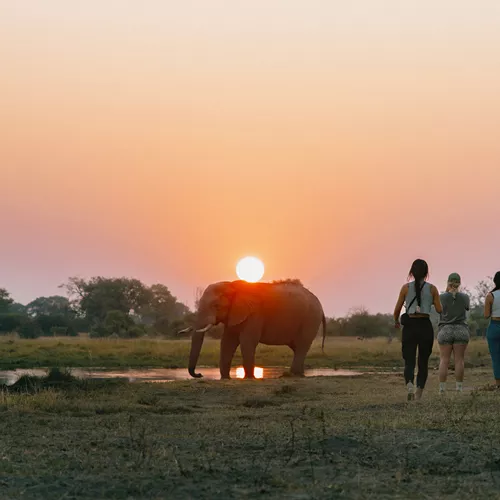 Victoria Falls and Botswana