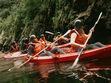Travellers kayaking through the river on Contiki's Garden Route & Addo Tour in South Africa