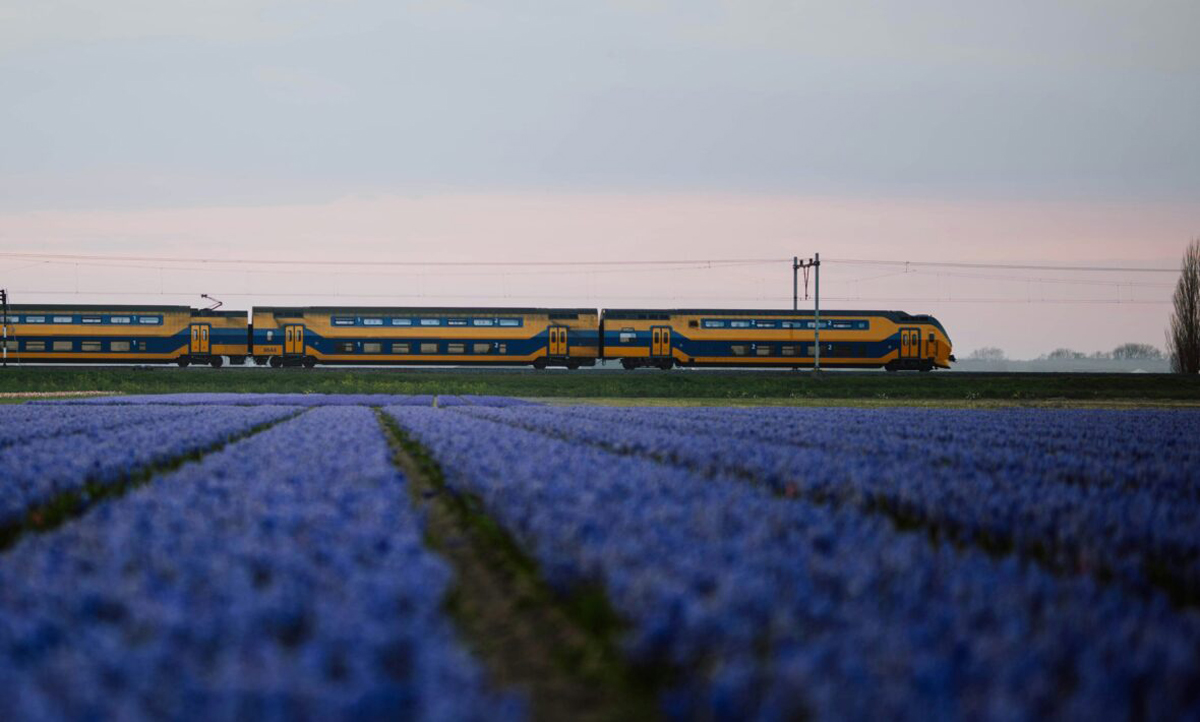 Train In Netherlands