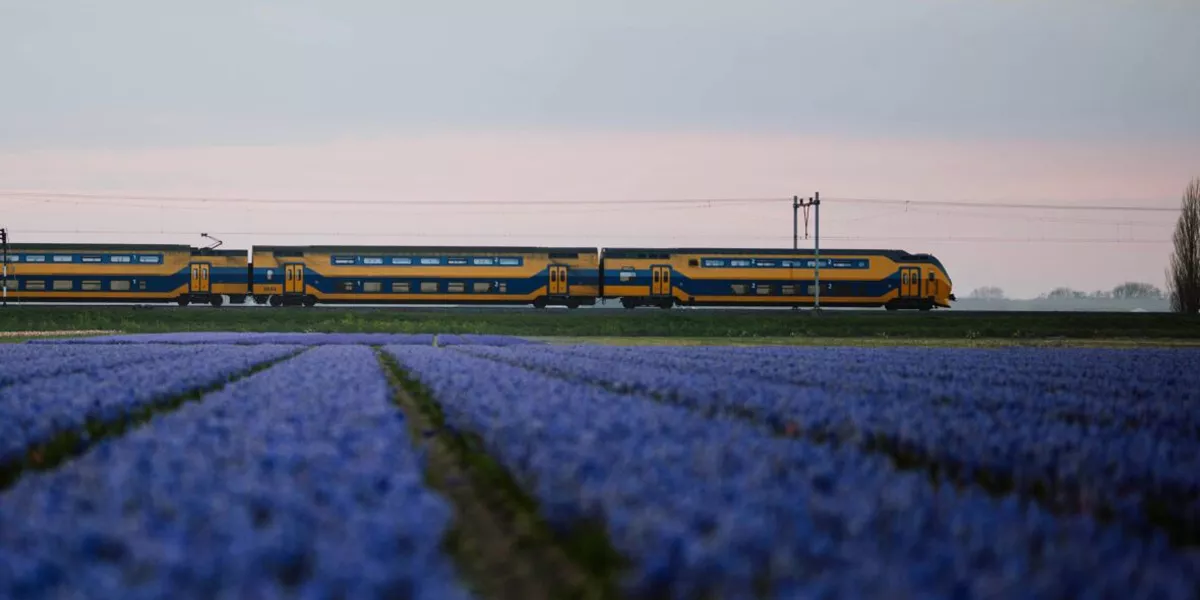 Train In Netherlands