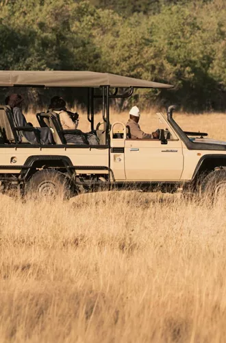 Travellers on an open safari game drive spotting lions in the African savannah, experiencing unforgettable wildlife encounters on the South Africa & Botswana 35 to 45 Tour