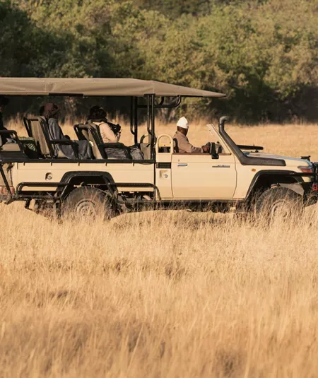 Travellers on an open safari game drive spotting lions in the African savannah, experiencing unforgettable wildlife encounters on the South Africa & Botswana 35 to 45 Tour