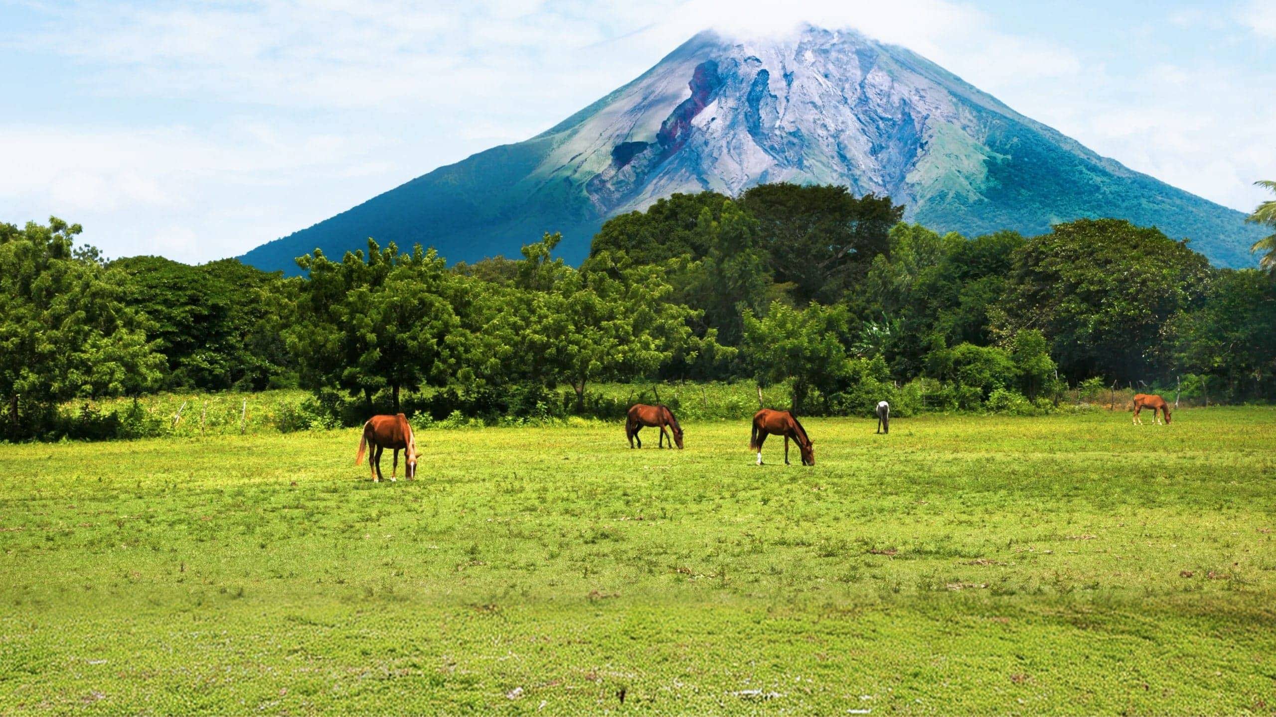 Arenal Volcano towering over grazing horses in Costa Rica - Contiki Antigua to San Jose Tour