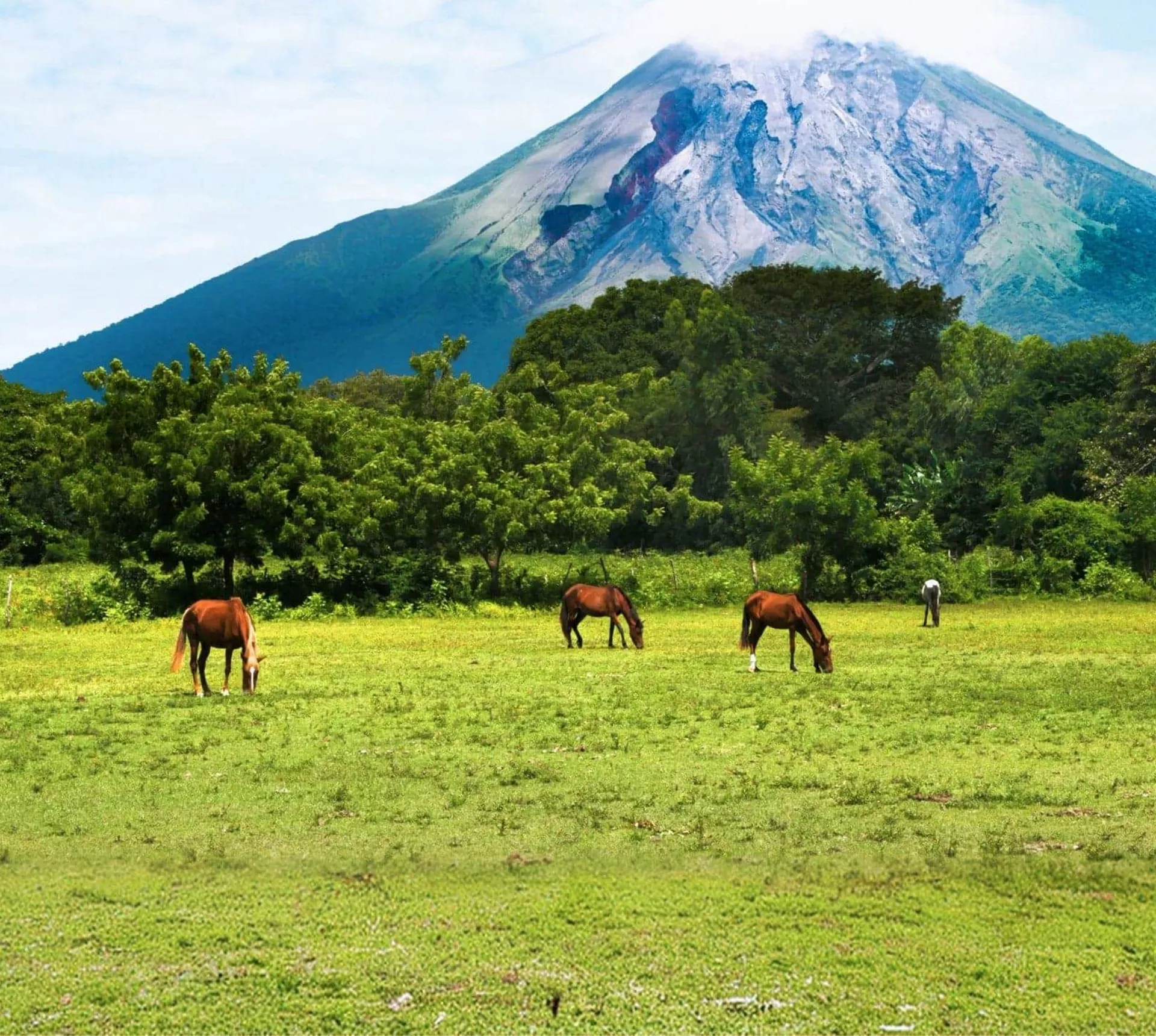 Arenal Volcano towering over grazing horses in Costa Rica - Contiki Antigua to San Jose Tour