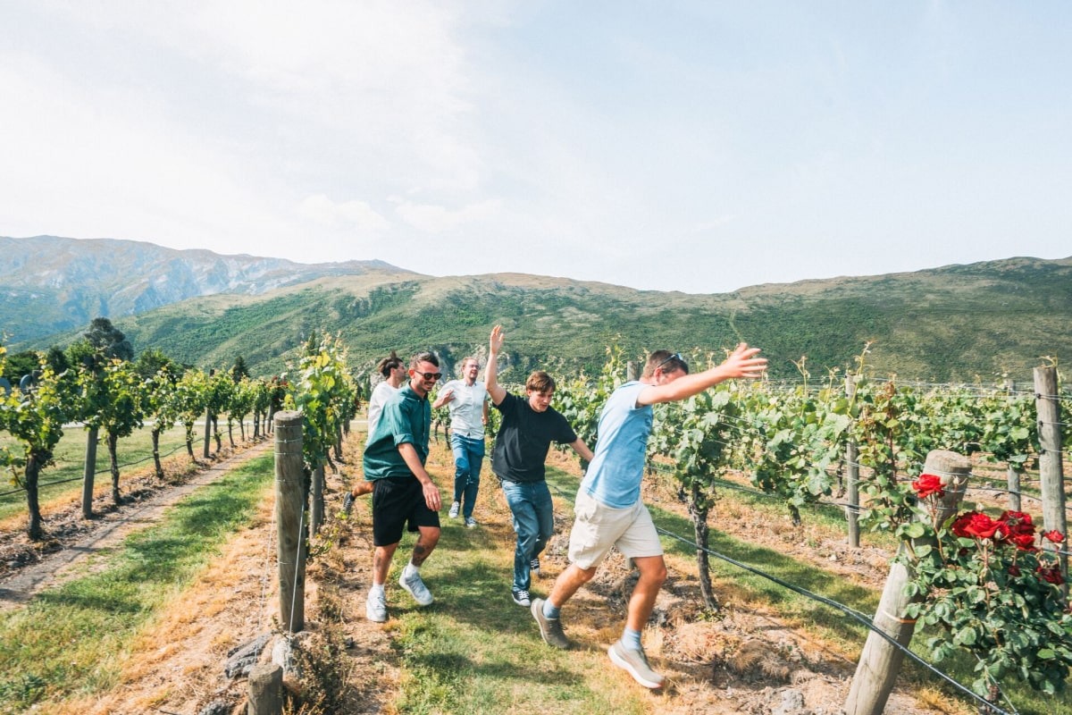 Explore Wine Country In Marlborough in New Zealand.