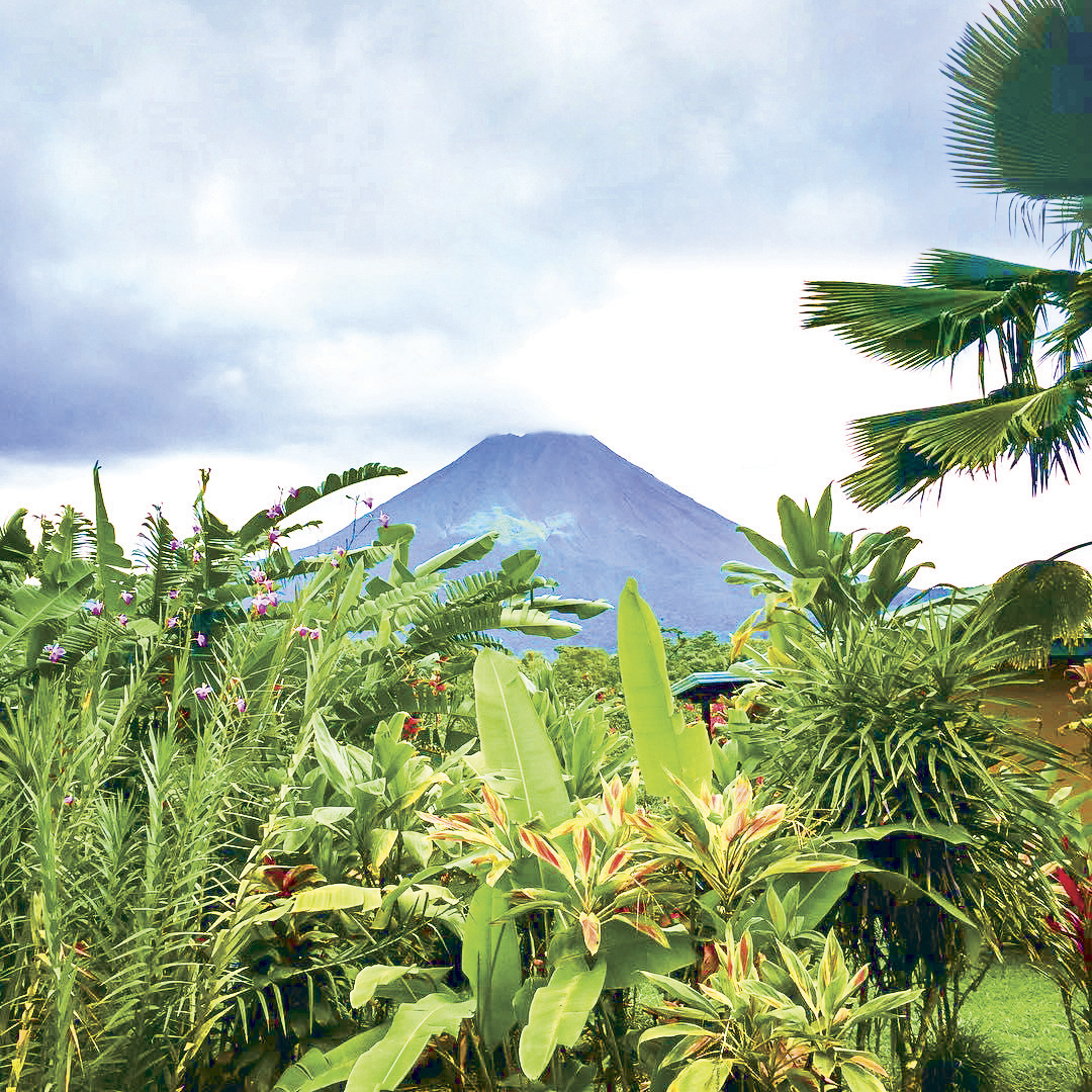  Marvel at Arenal Volcano (Weather Permitting)