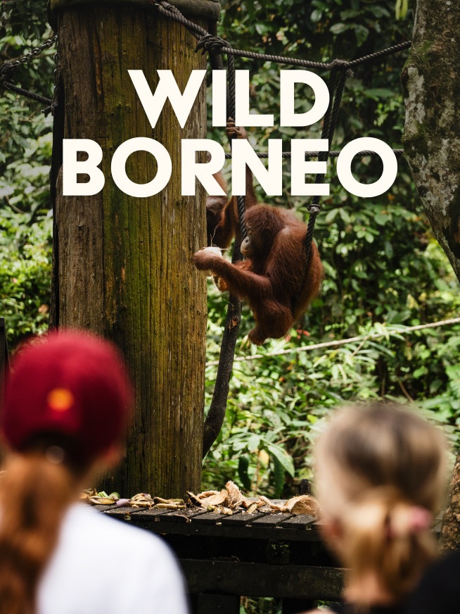 Wild Borneo Tour