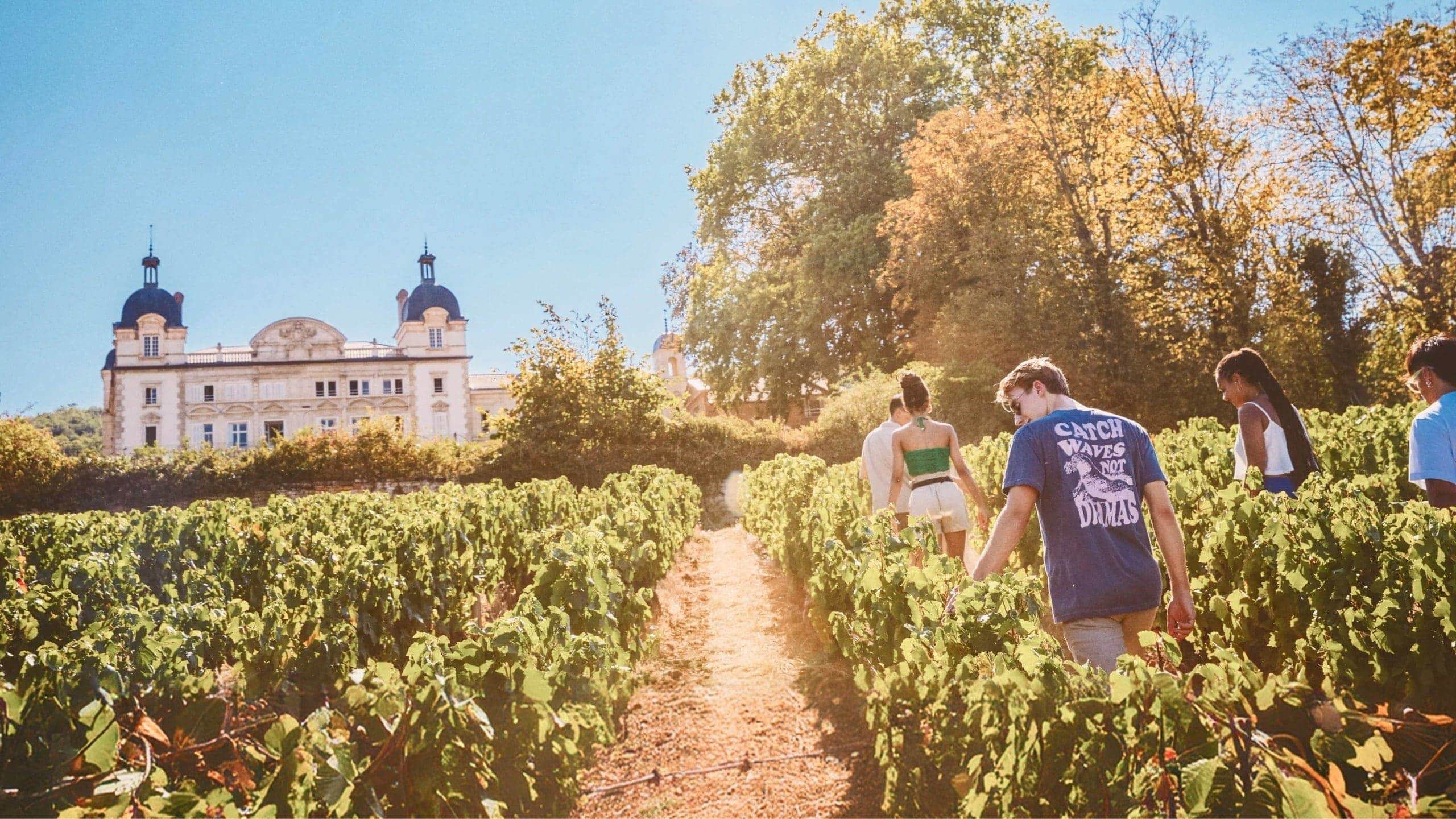 Contiki travellers walk through the vineyards at the Contiki Château in the Beaujolais wine region on the European Highlights Tour