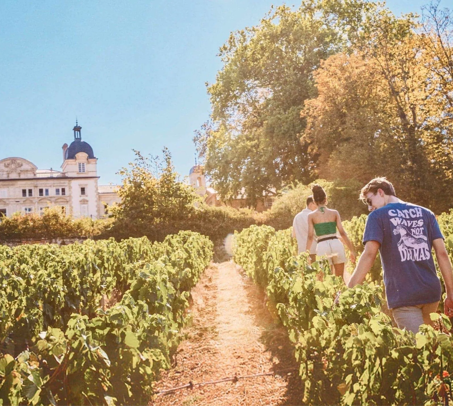 Contiki travellers walk through the vineyards at the Contiki Château in the Beaujolais wine region on the European Highlights Tour