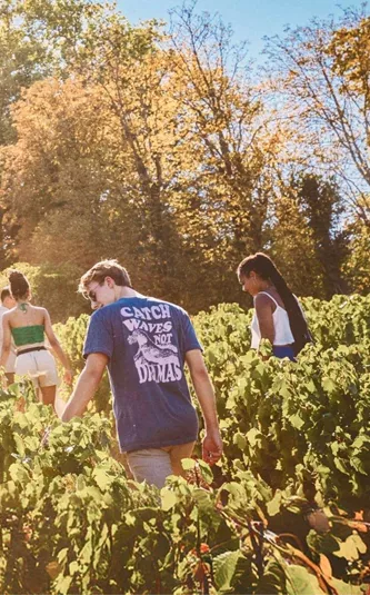 Contiki travellers walk through the vineyards at the Contiki Château in the Beaujolais wine region on the European Highlights Tour