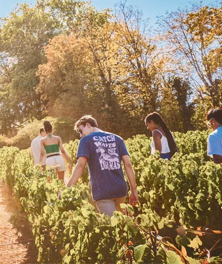 Contiki travellers walk through the vineyards at the Contiki Château in the Beaujolais wine region on the European Highlights Tour