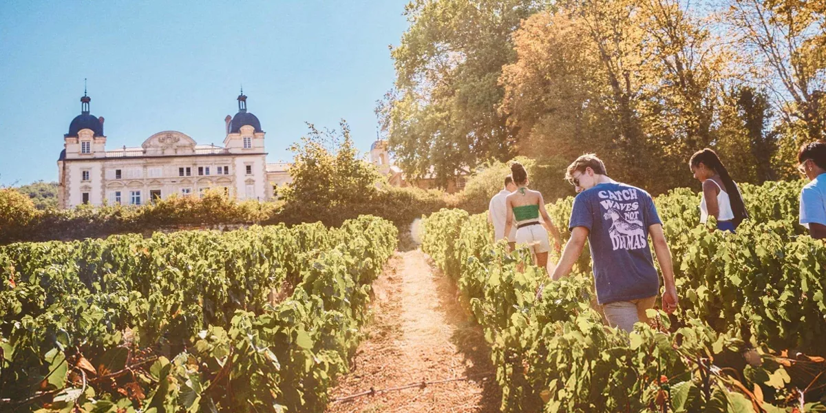 Contiki travellers walk through the vineyards at the Contiki Château in the Beaujolais wine region on the European Highlights Tour