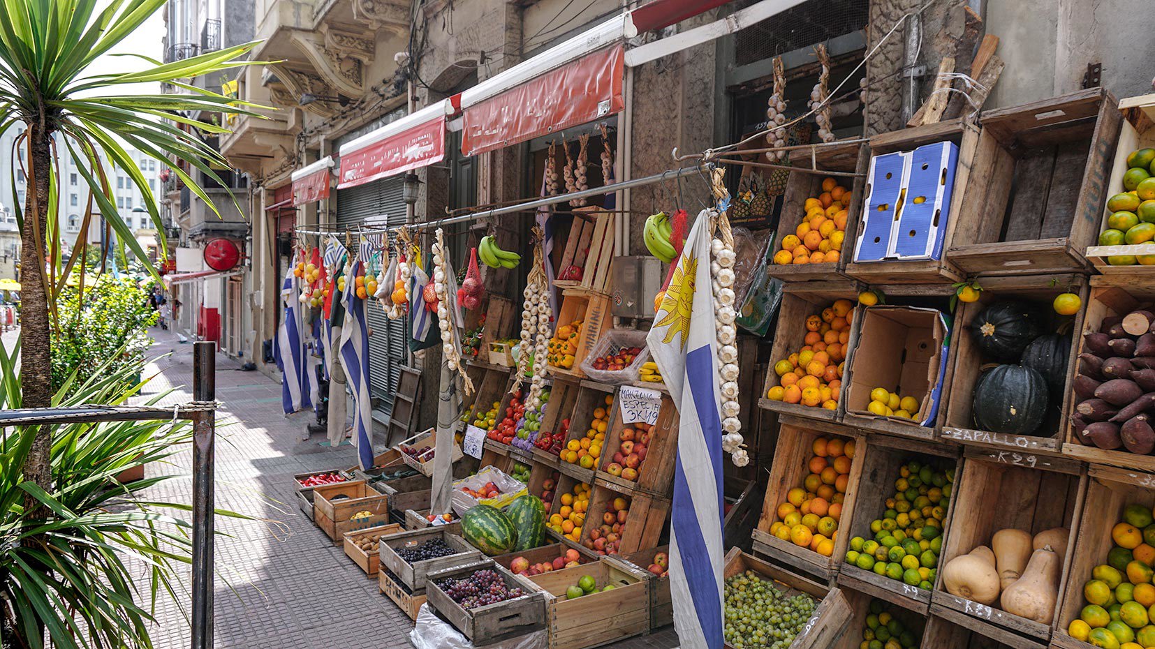 Discover Montevideo on foot