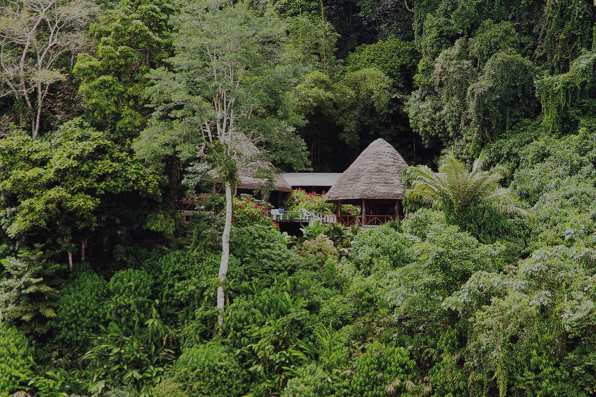 Ecuador Trips Travel Guide