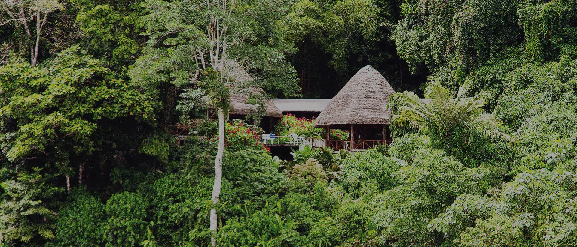 Ecuador Trips Travel Guide