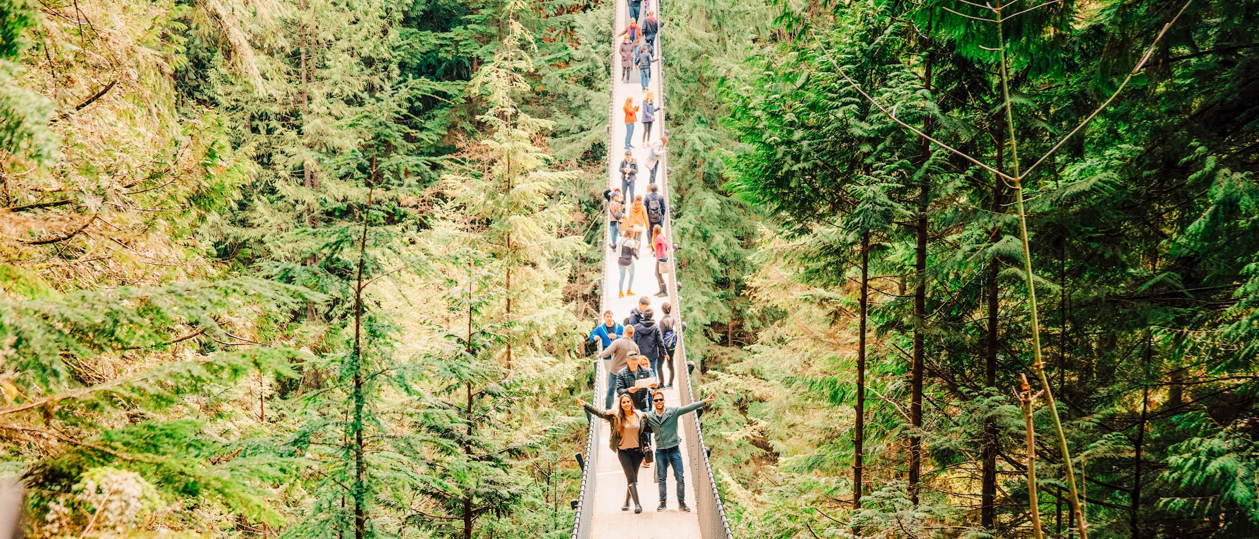 Brave Capilano Suspension Bridge