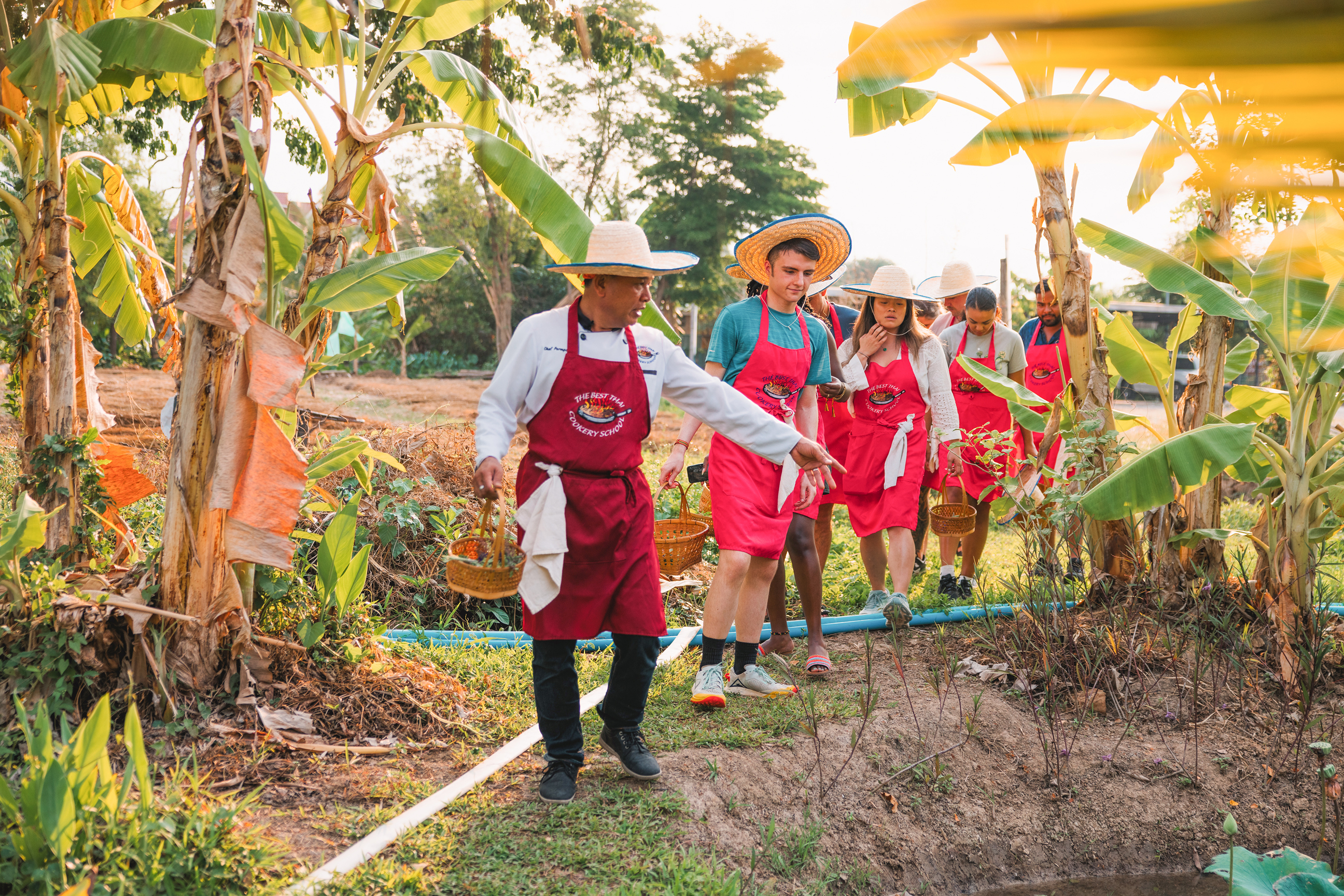 Local man showing plants to travellers for cooking class, Chiang Mai, Thailand