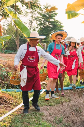 Local man showing plants to travellers for cooking class, Chiang Mai, Thailand