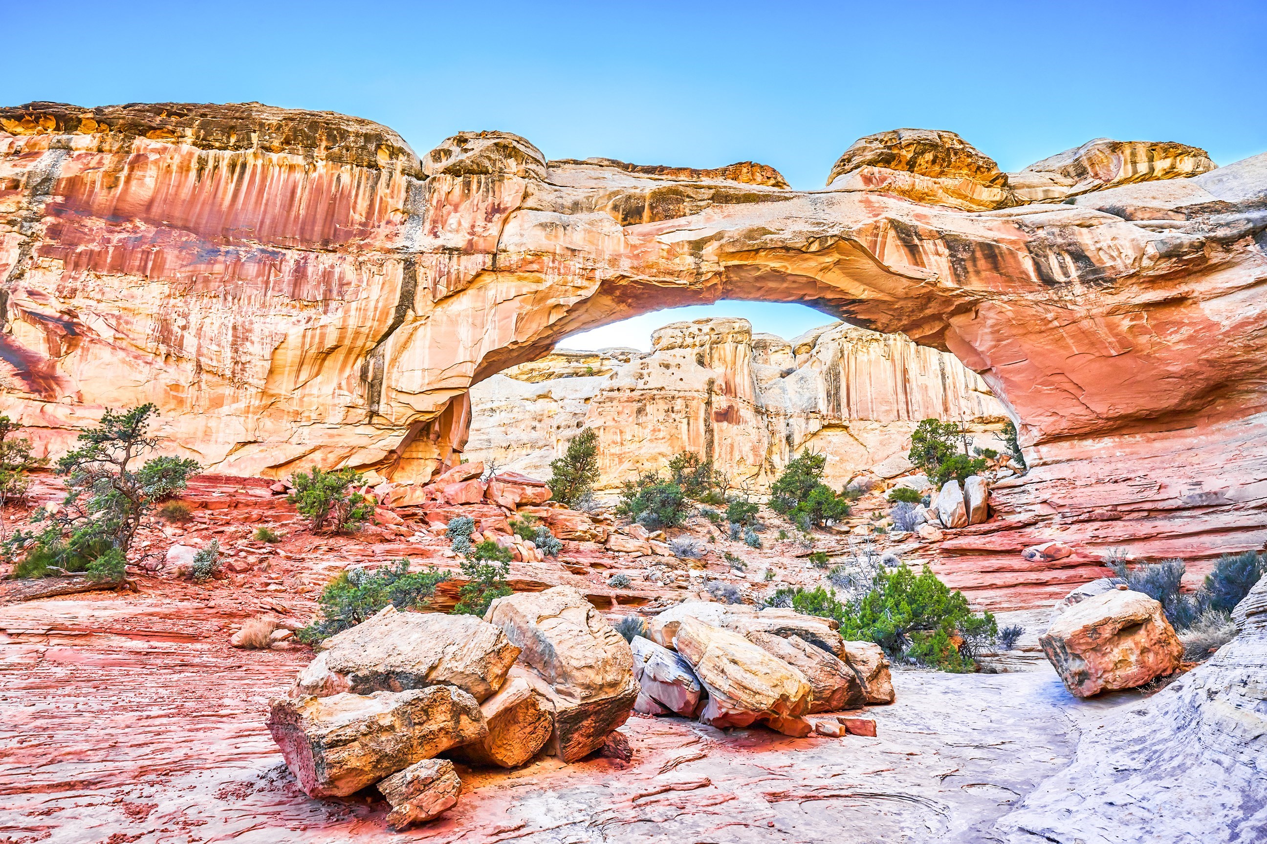 Included Entry to Capitol Reef National Park 