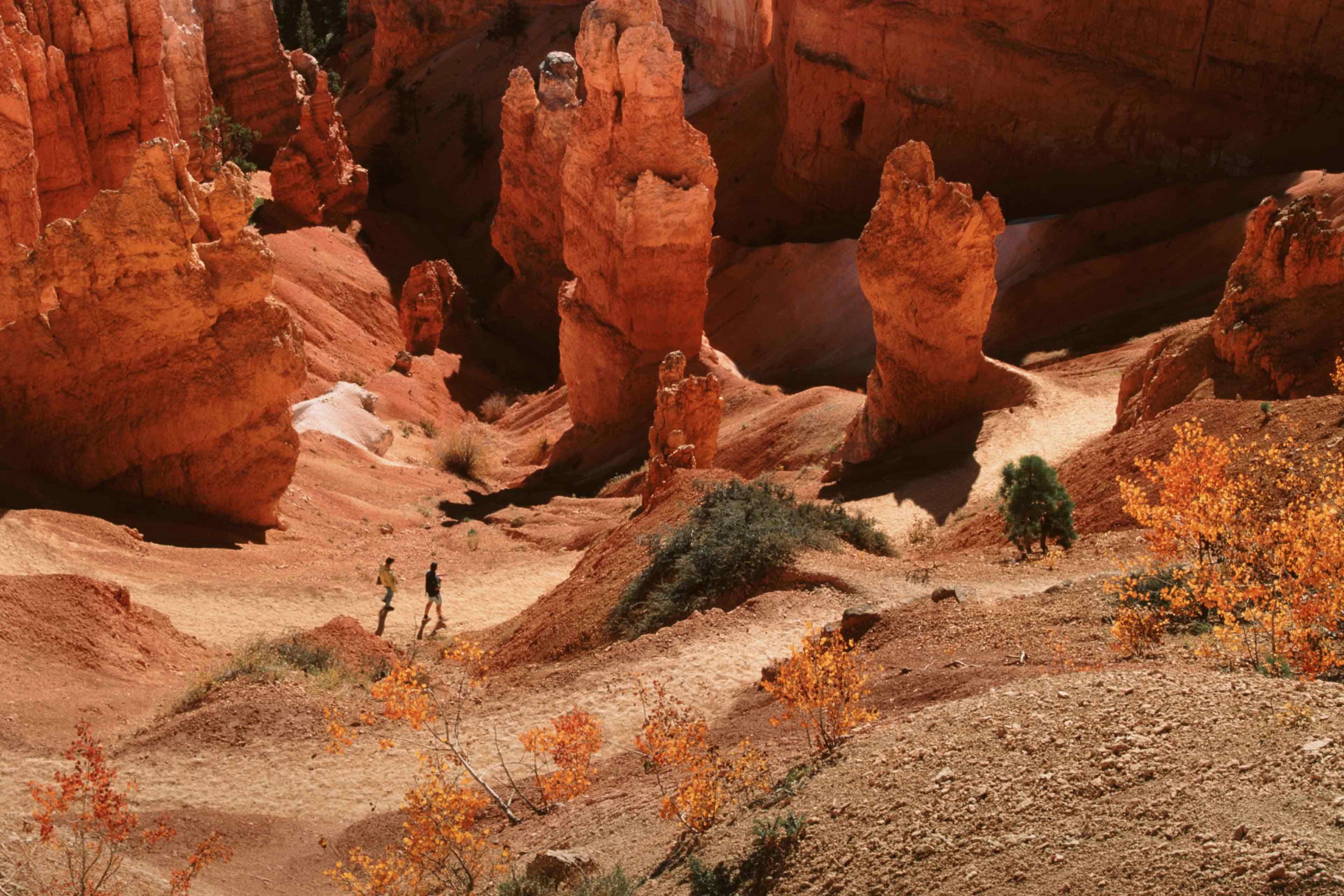 Hikers walking a trail among towering red rock hoodoos at Bryce Canyon National Park, USA.