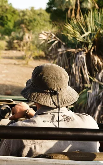 Two people drive through the bush in an open safari vehicle during a game drive in South Africa's Greater Kruger region - Contiki Become a Safari Guide in Kruger Tour