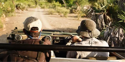 Two people drive through the bush in an open safari vehicle during a game drive in South Africa's Greater Kruger region - Contiki Become a Safari Guide in Kruger Tour