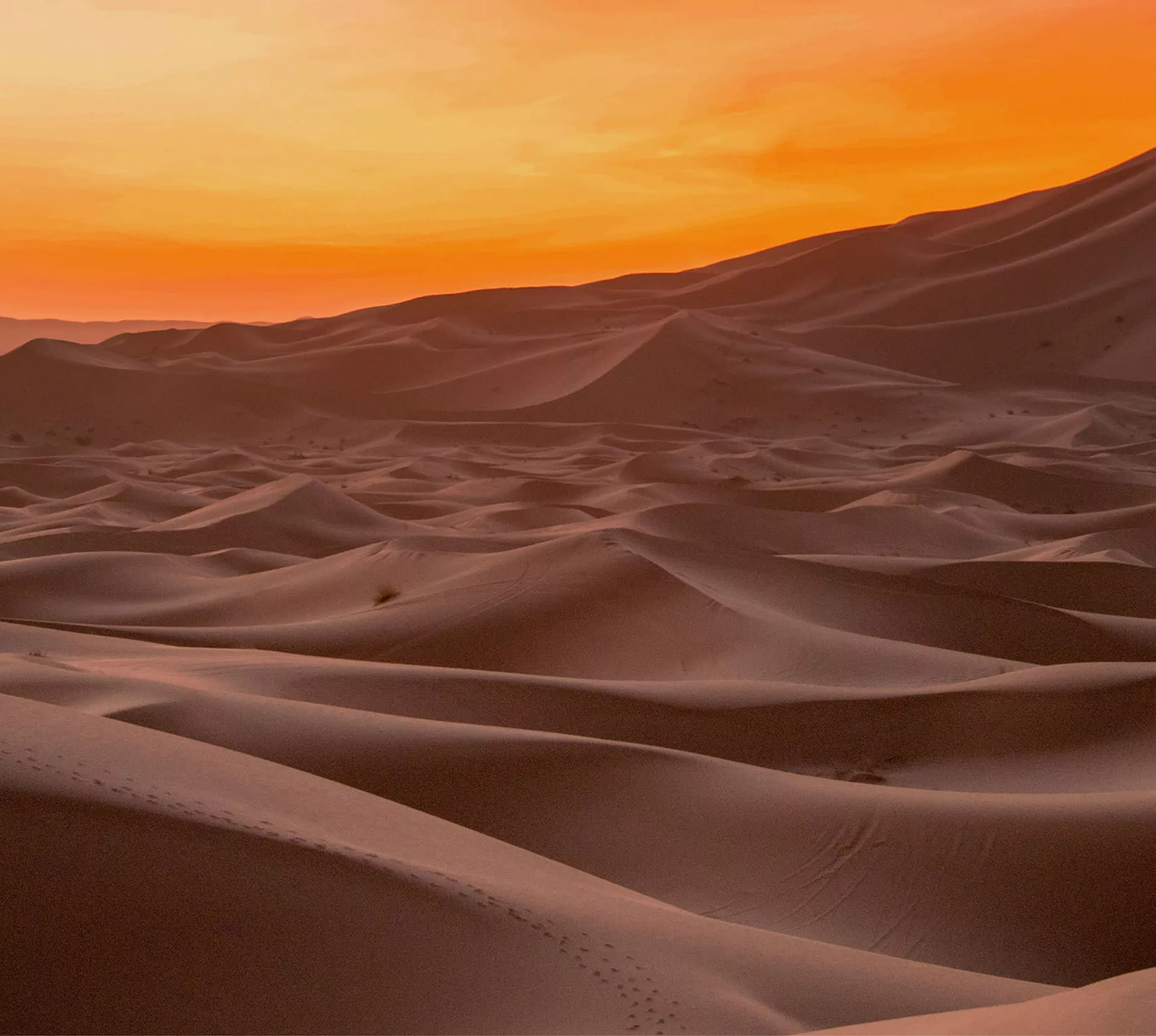 Best of Morocco Trip