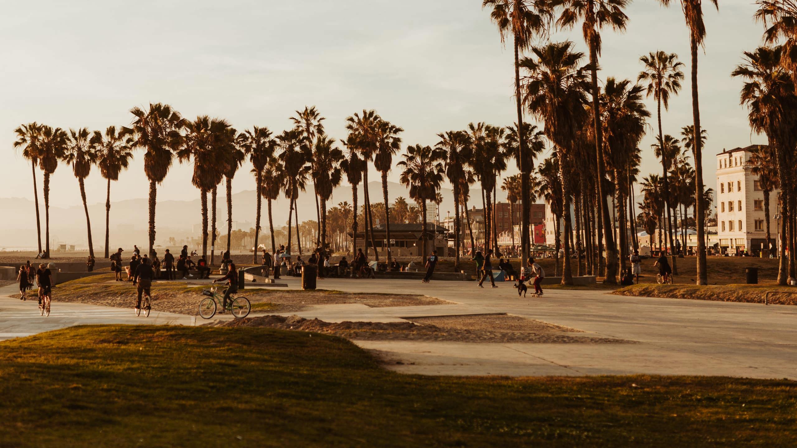 Cyclists and skaters at the iconic Venice Beach boardwalk and skate park lined with tall palm trees at golden hour in Los Angeles California - Contiki USA LA to the Bay Tour