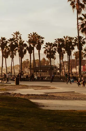 Cyclists and skaters at the iconic Venice Beach boardwalk and skate park lined with tall palm trees at golden hour in Los Angeles California - Contiki USA LA to the Bay Tour