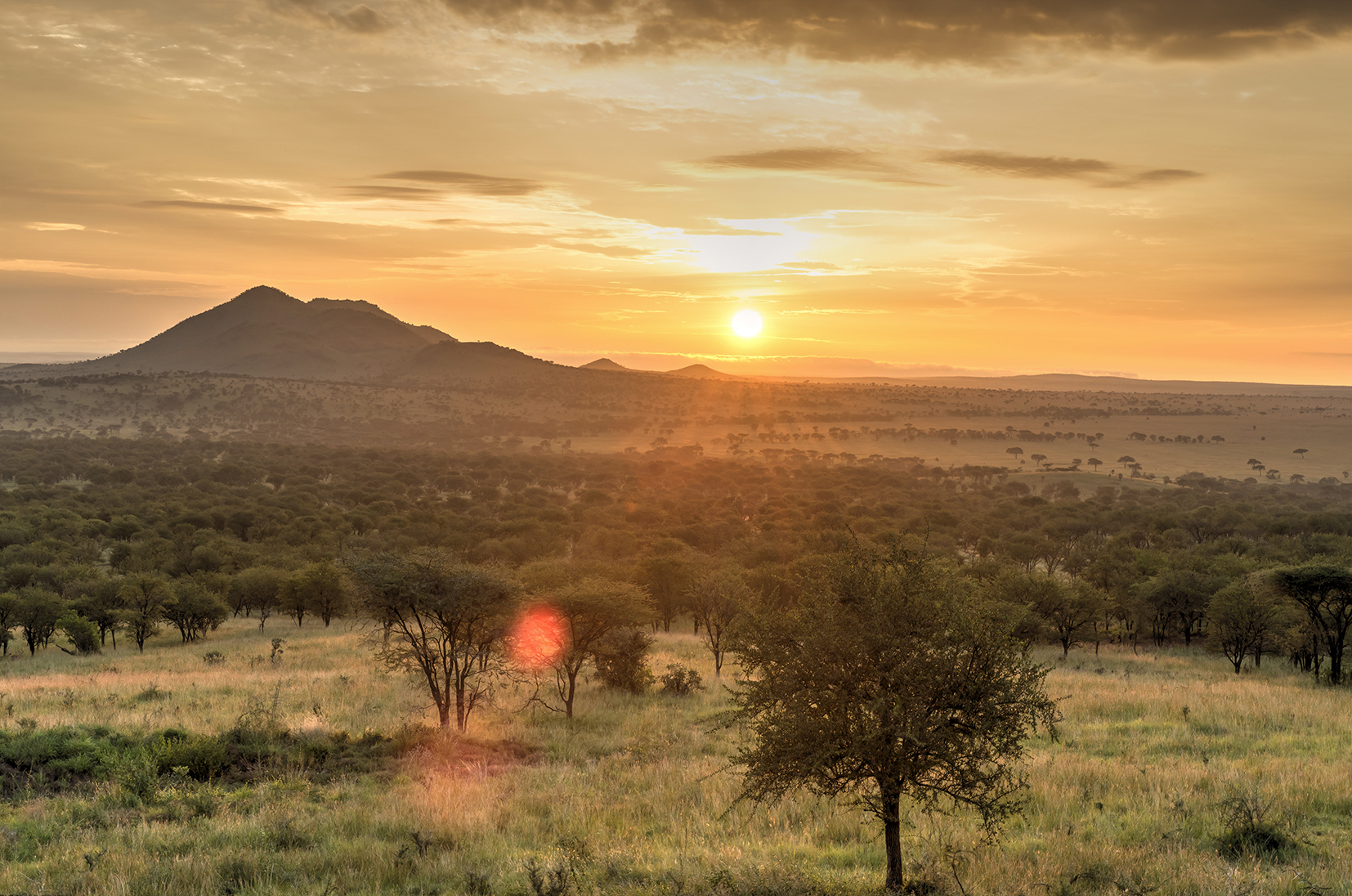 Take a morning Game Drive in the Serengeti