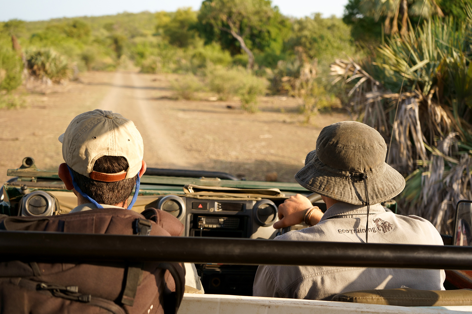 10 Game Drives or walks 