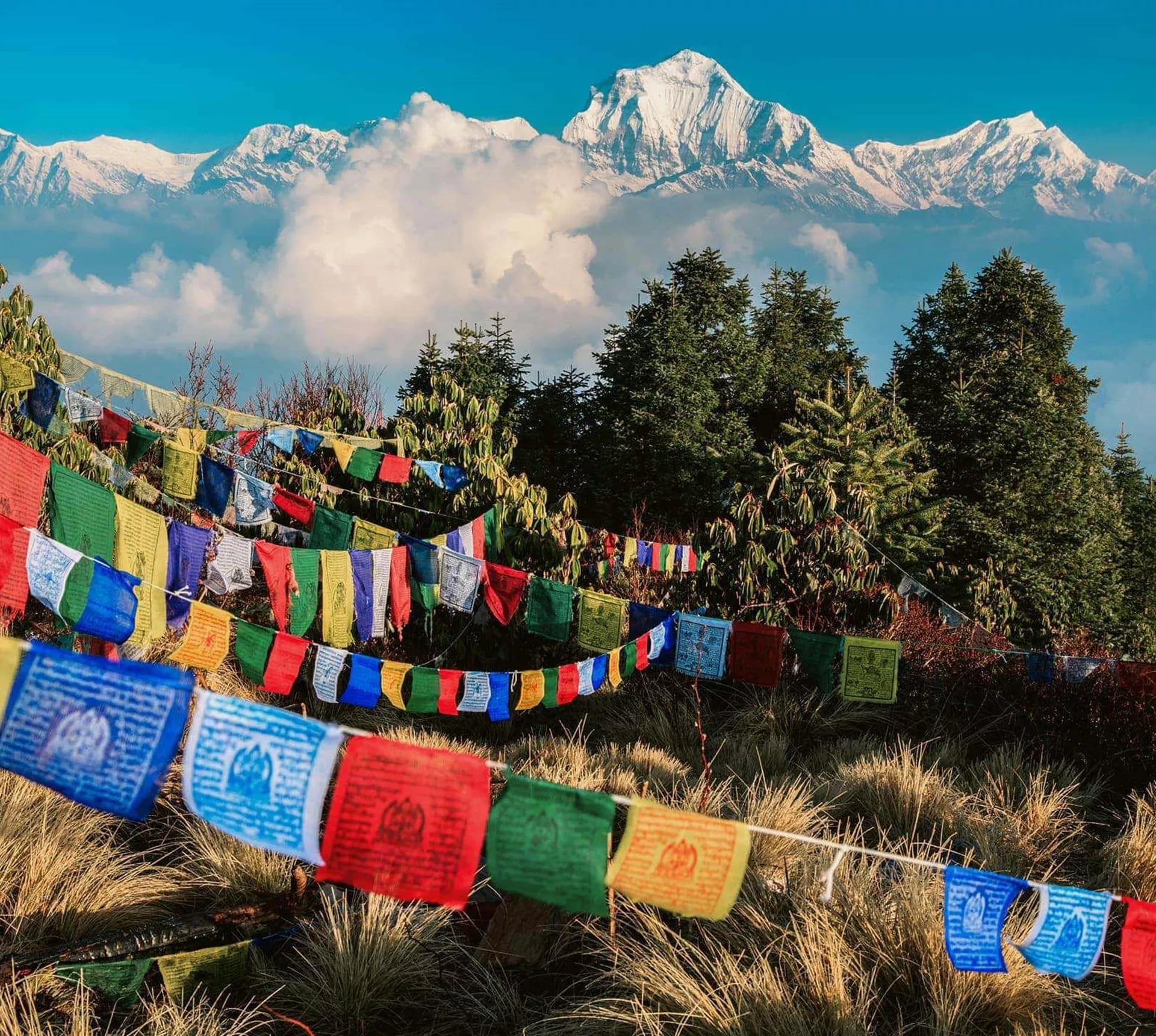 Buddhist prayer flags at Poon Hill with the Dhaulagiri Himalayan peaks rising above the clouds in the Annapurna region Nepal - Contiki Nepal Tour