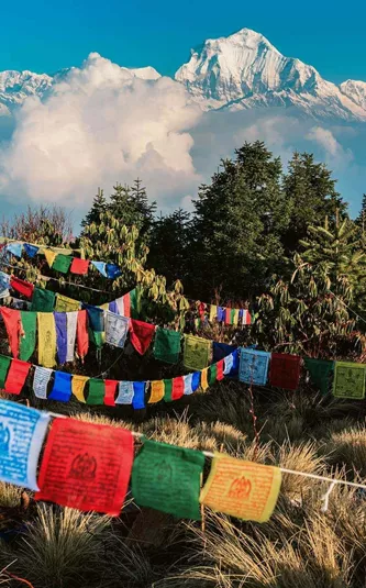Buddhist prayer flags at Poon Hill with the Dhaulagiri Himalayan peaks rising above the clouds in the Annapurna region Nepal - Contiki Nepal Tour