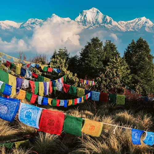 Buddhist prayer flags at Poon Hill with the Dhaulagiri Himalayan peaks rising above the clouds in the Annapurna region Nepal - Contiki Nepal Tour